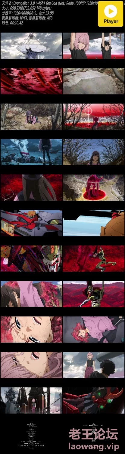 Evangelion 3.0 (-46h) You Can (Not) Redo. (BDRIP .jpg